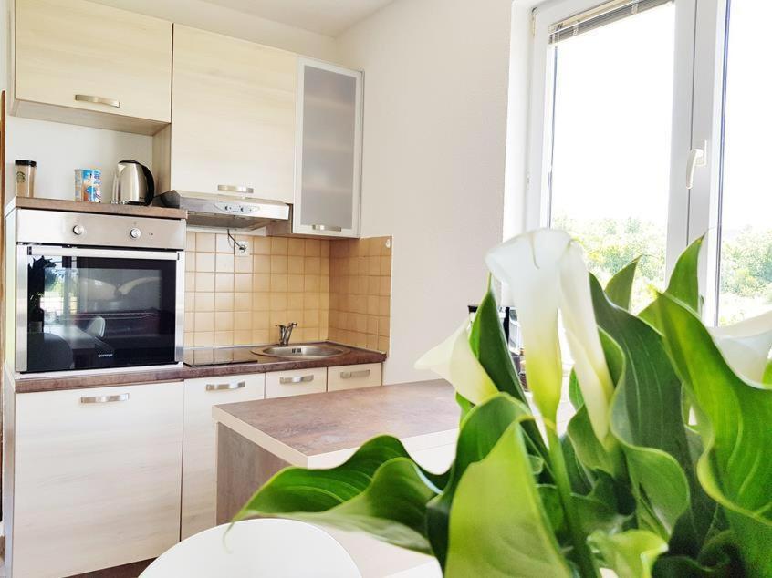 Talija Apartments Krimovica Budva Exteriör bild